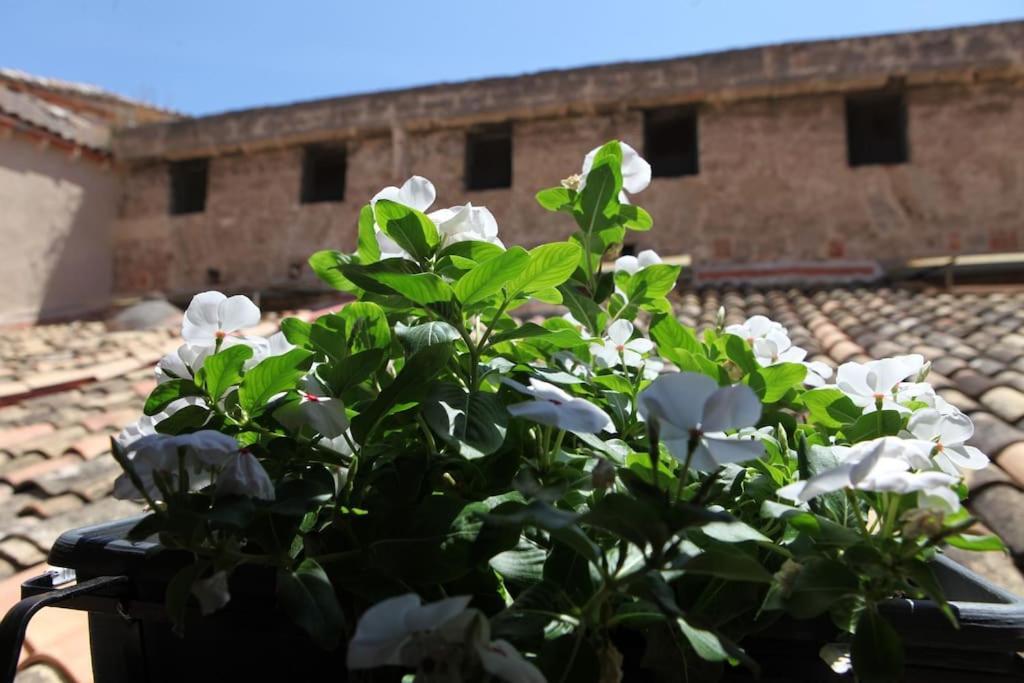 Sant'Anna Home باليرمو المظهر الخارجي الصورة