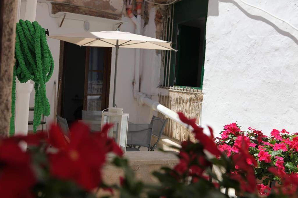 Sant'Anna Home باليرمو المظهر الخارجي الصورة